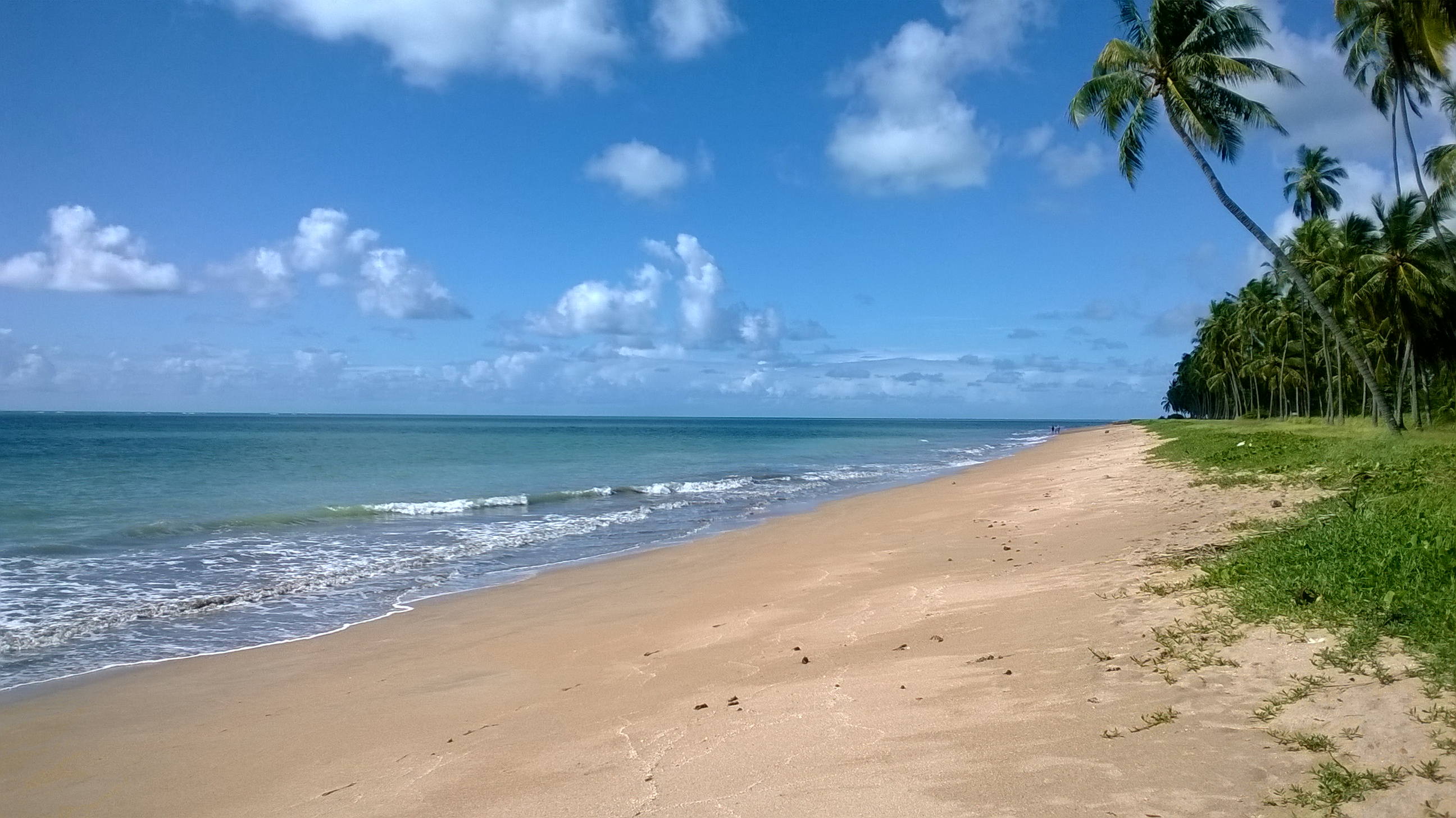 Fotografia real da praia de Japaratinga, Alagoas, com mar e coqueiros, por Lorena de Moura Melo
